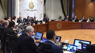 إنشاء منطقة حرة خاصة باسم شركة «فورورد إيجيبت» للصناعات الرياضية وكرة القدم 