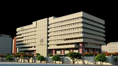 معلومات الوزراء: 79% من المصريين يرون اهتمام الدولة حاليًا بجودة المنتج المحلي