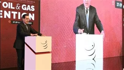 وزير البترول: ارتفاع صادرات مصر من الغاز إلى 8 ملايين طن في 2022