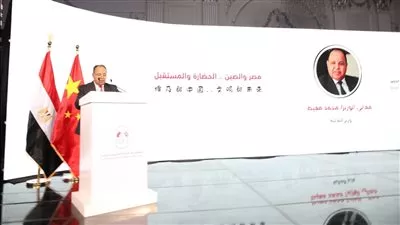 وزير المالية: مصر تفتح أبوابها أمام الاستثمارات الصينية فى الصناعات الاستراتيجية 