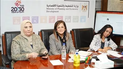 اللجنة الوزارية تتابع تنفيذ خطط المشروع القومي لتنمية الأسرة المصرية