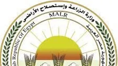 «الزراعة»: الإفراج عن 150 ألف طن أعلاف بقيمة 79 مليون دولار