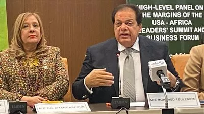 أبو العينين: مبادرات السيسي ستحدث نقله استثمارية وحضارية للقارة السمراء