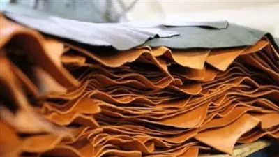 «شعبة الأحذية» تنظم ندوة للتوعية بآليات التسجيل في منظومة الفاتورة الإلكترونية