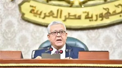 رئيس «النواب»: تعديل قانون الإجراءات الضريبية الموحد لا يمس سرية حسابات المواطنين