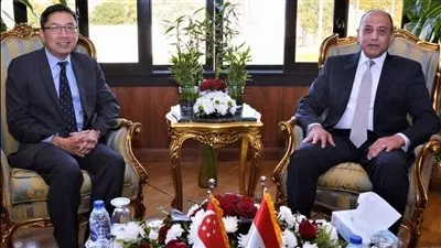 وزير الطيران يبحث تعزيز التعاون بين مصر وسنغافورة في مجالات النقل الجوي