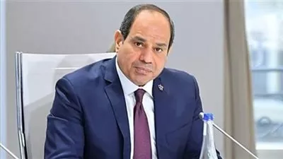 بالفيديو.. الرئيس السيسي: مصر ترفض أي تدخلات خارجية في شؤون العراق