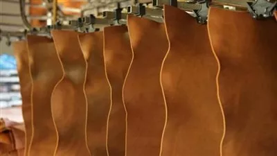 بمشاركة 70 شركة.. إنطلاق معرض القاهرة الدولي للجلود 26 يناير المقبل 