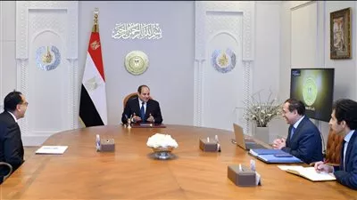 السيسى يوجه بتكثيف جهود البحث والاستكشاف بمجالي الغاز الطبيعي والبترول
