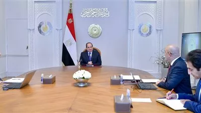 الرئيس السيسي يطلع على نتائج زيارة الوفد الوزاري المصري إلى تنزانيا 