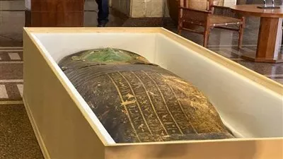 وزير الخارجية: استعادة «التابوت الأخضر» يساهم في حماية إرث مصر الحضاري
