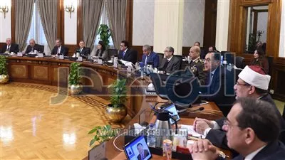 الحكومة توافق على تخصيص أراضٍ بالمحافظات لأنشطة الاستصلاح والاستزراع