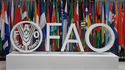 «فاو»: 2% إنخفاضا في مؤشر أسعار السلع خلال ديسمبر 2022