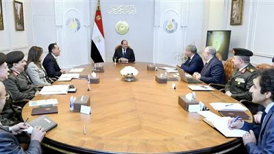 السيسي يوجه الحكومة بتحديد سعر مجزي للمزارعين من توريد محصول القمح