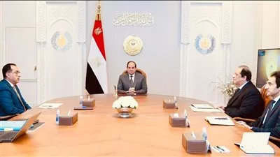 الرئيس السيسي يوجه بتعزيز جهود تطوير قطاع الطيران المدني