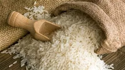 وزير التموين يعلن انتهاء موسم توريد أرز الشعير من المزارعين