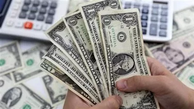 بعد ارتفاعه 45 قرشًا.. استقرار أسعار الدولار مقابل الجنيه في ختام التعاملات 