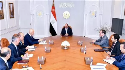 السيسي يوجه بتكثيف التعاون مع إيني الإيطالية لاستكشاف وإنتاج الغاز في مصر