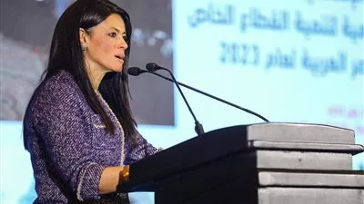 المشاط: «الإسلامية لتنمية القطاع الخاص» مولت 32 مشروعًا بـ 275 مليون دولار