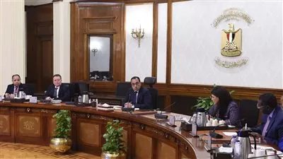 رئيس الوزراء يؤكد أهمية استكمال برنامج التعاون الإنمائي بين مصر والبنك الدولي