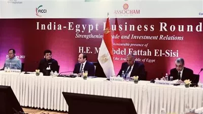 السيسي يشارك في اجتماع موسع لرؤساء كبرى الشركات الهندية ورجال الأعمال 