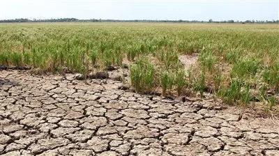 الاتحاد المصري للتأمين يدعو للشراكة مع أجهزة الدولة لمواجهة مشكلة الجفاف