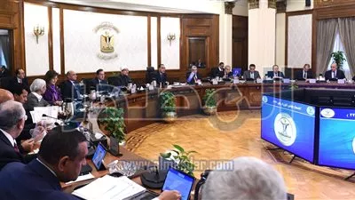 رئيس الوزراء: الإفراج عن مستلزمات الإنتاج يسهم في تحقيق توازن الأسعار بالأسواق