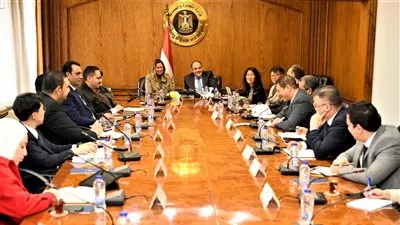وزير الصناعة يبحث التعاون مع المعهد الكوري للعلوم في نقل التكنولوجيات الحديثة 