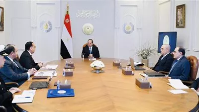 الرئيس السيسي يتابع ملف تطوير الصناعة المصرية ومواجهة تحدياته