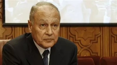 «أبو الغيط» يؤكد أهمية دور الإدارة الحكومية فى إحداث النهضة الرقمية بالمنطقة العربية 