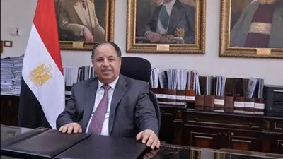 المالية: منع الممولين غير المنضمين للفاتورة الإلكترونية من التعامل مع «الجمارك» 