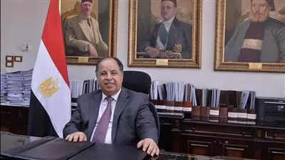 وزير المالية: صرف 48 مليار جنيه «مساندة تصديرية» لـ2500 شركة