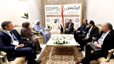 وزير البترول يبحث زيادة استثمارات شركة مبادلة الإماراتية بمجالات الطاقة في مصر