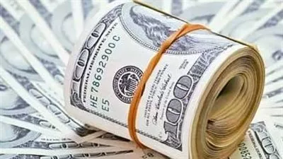 سعر الدولار بالبنوك المصرية اليوم الأحد 19 فبراير 2023