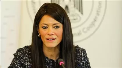 «التعاون الدولي» تعقد منصة تنسيقية مع شركاء التنمية لعرض تطورات مشروعات «نُوَفِّي» 