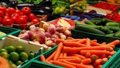 ارتفاع التبادل التجارى بين مصر وبولندا إلى 894.7 مليون دولار خلال 2022