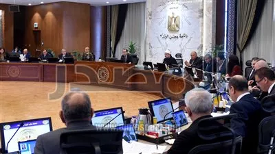 تخصيص أراضي مملوكة للدولة لإقامة محطة كهرباء ومحولات في بورسعيد