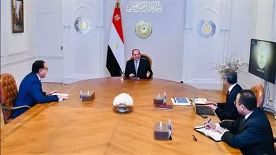 السيسي يوجه بمواصلة جهود تعزيز التحول الرقمي وميكنة الإجراءات الإدارية والحكومية