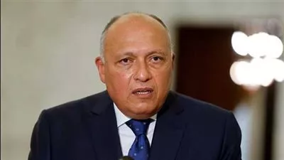 وزير الخارجية المصري: إسرائيل هي المسئول الوحيد في الأزمة الإنسانية بقطاع غزة