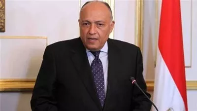 شكري: صمود النظام الدولي خلال الأزمات الجيوسياسية يتطلب تمثيل أوسع بأجهزة صنع القرار