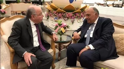 وزير الخارجية ونظيره البرازيلي يؤكدان أهمية تنشيط اتفاقية التجارة بين مصر والميركسور