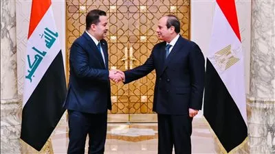  السيسي يؤكد حرص مصر على تفعيل التعاون مع العراق بمختلف المجالات