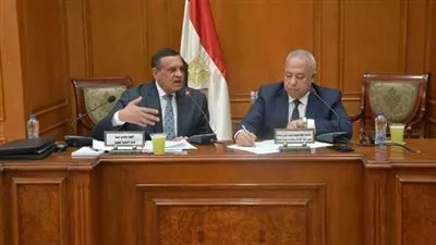 هشام آمنة: 480 مليار جنيه تكلفة مشروعات المرحلة الأولي من «حياة كريمة»