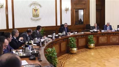 مدبولي يبحث سبل تيسير إجراءات تراخيص مصانع الأدوية والمستلزمات الطبية