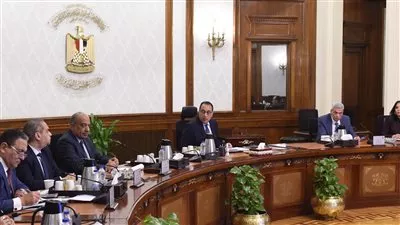 رئيس الوزراء يتابع الموقف التنفيذي لخطط تطوير شركات إنتاج الأدوية