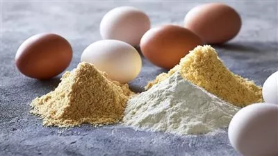 الحكومة تكشف حقيقة طرح البيض البودرة فى الأسواق