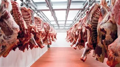 الحكومة تنفي استيراد لحوم مصابة بجنون الأبقار وطرحها بالأسواق