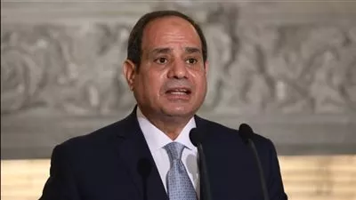 السيسي: نسابق الزمن لإضافة 3.5 مليون فدان للرقعة الزراعية
