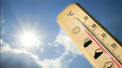 الأرصاد: غدا طقس مائل للدفء نهارا.. والعظمى بالقاهرة 21