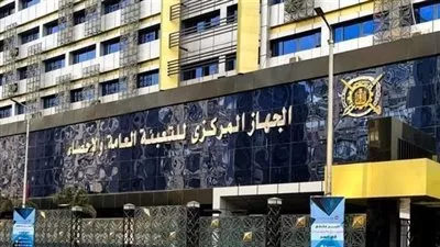 الإحصاء: ارتفاع قيمة الاستثمارات اليابانية بمصر 98.7% خلال 2021-2022